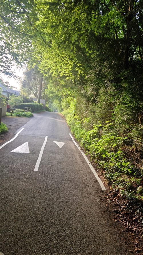 Butlers Dene Road 2