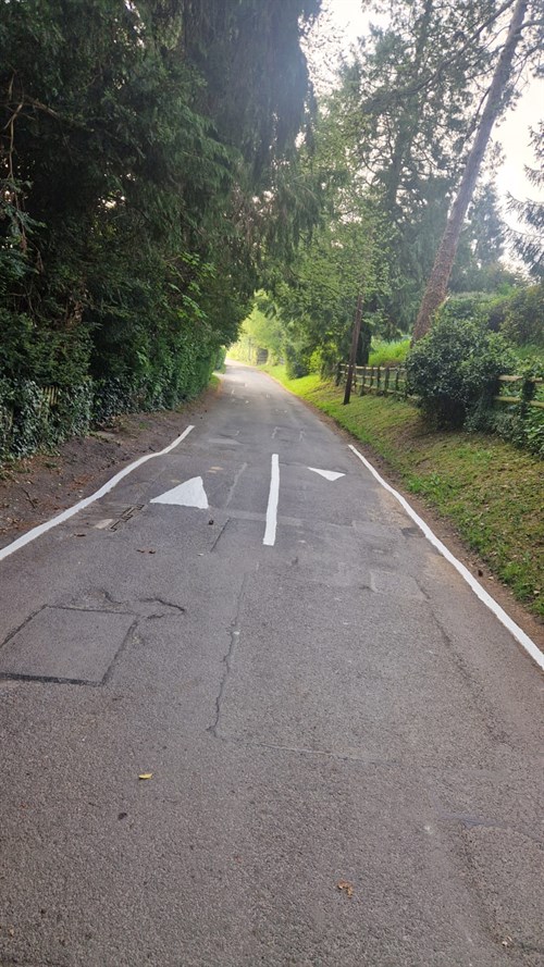 Butlers Dene Road 4
